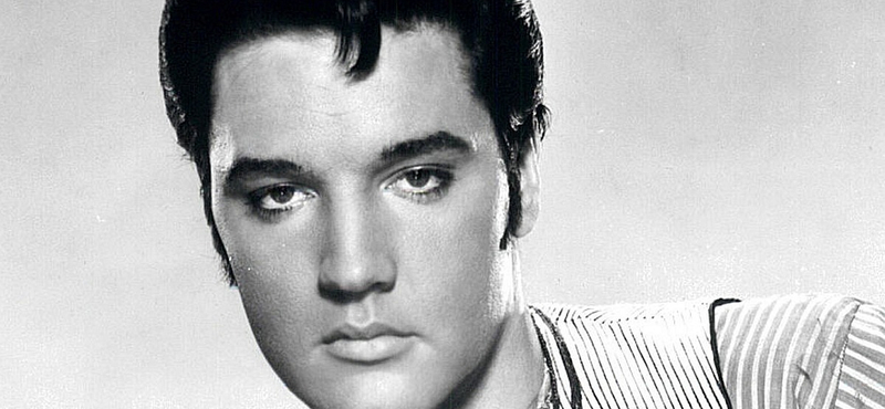 Koszos és gazdátlan az új Elvis Presley park Budán