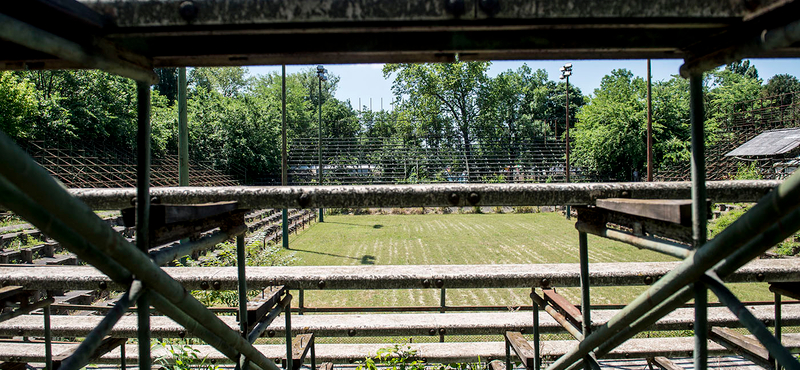 A fákat letarolták, de nem épül a teniszstadion a Margitszigeten