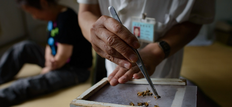 Fideszesek legalizálnák a kínai csodadoktorokat