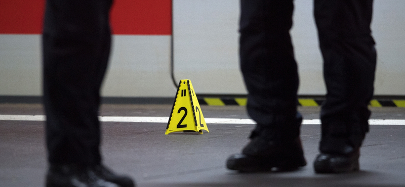 Azt remélte, a rendőrök agyonlövik, ha baltával emberekre támad