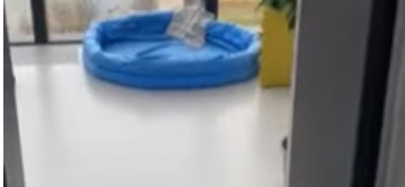 Megint esik, megint beázott a Mol-torony