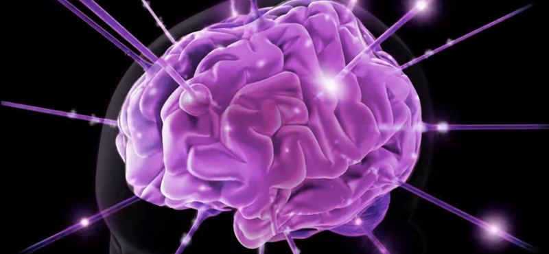 Az interneten keresztül programozhatják a Parkinson-kóros betegek agyát a pécsi orvosok