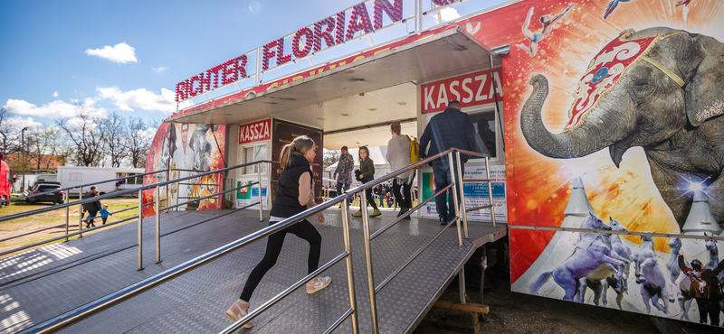 Telex: Tartóoszlop csapódott a közönségbe, súlyosan megsérült egy néző a Richter cirkuszban