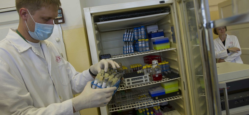 Európában beindult az influenzajárvány