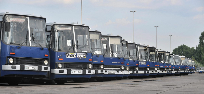 Használt buszokat venne a BKV