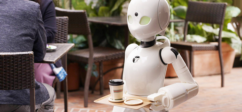 Az EU utolsó előtti helyén állunk robothasználatban