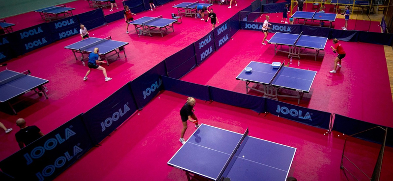 Magyarország rendezi az asztalitenisz-vb-t 2019-ben