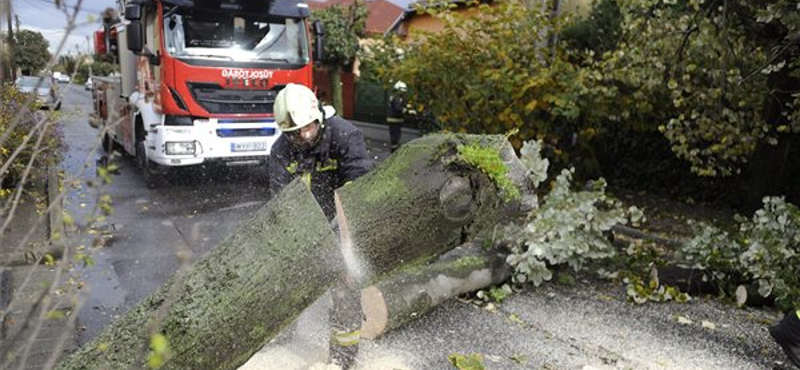Fákat döntött ki, tetőket tépett fel a szél Zalában és Somogyban