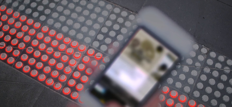 Betiltották a mobiltelefonálást a zebrán Honoluluban