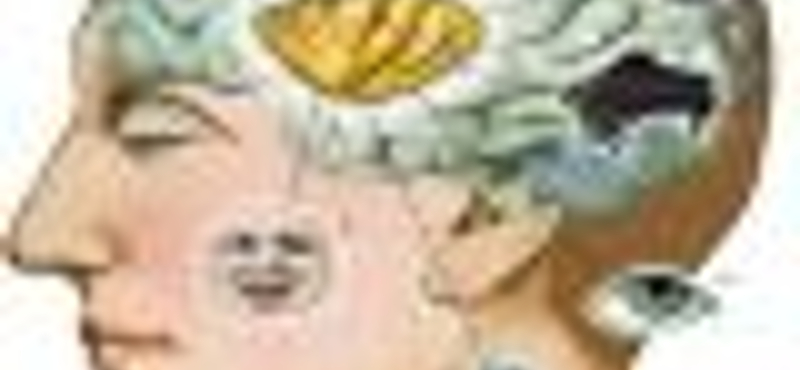 Okosabb, mint Goethe? A legjobb online IQ-tesztek