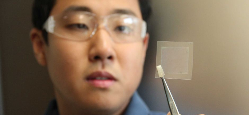 Egy kis nanotechnológia, és egy igen drága anyag főzhető ki a szójababolajból