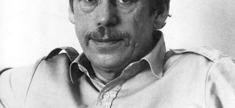 Szolidan dicsérik Havel első filmrendezését