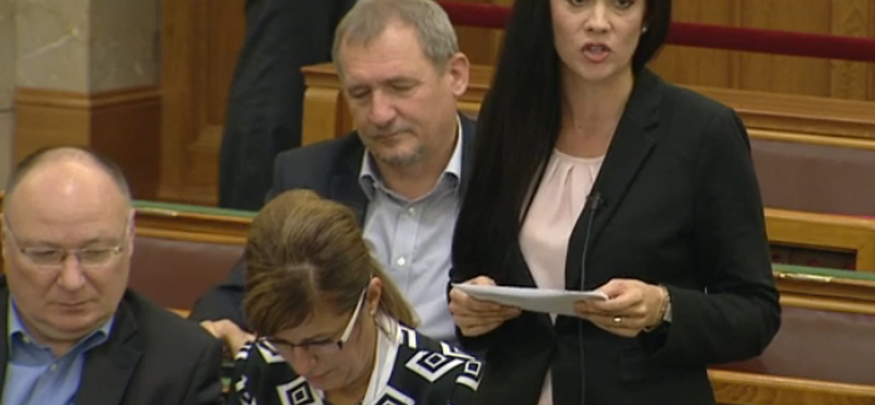 Demeter Márta az MSZP-ből is kilépett