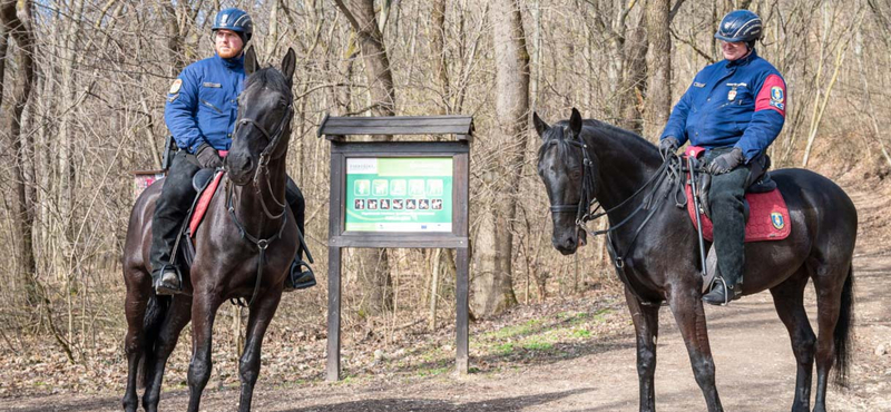 Lovas rendőrök vigyáznak a rendre a budai erdőkben