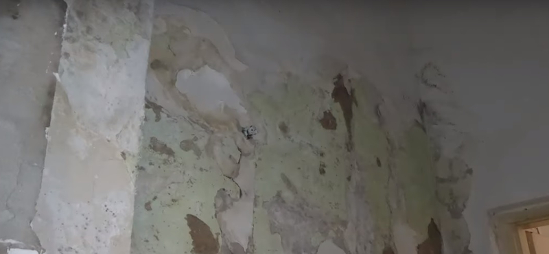 Rágcsálóürülékkel teli tofugyárat záratott be a Nébih – videó