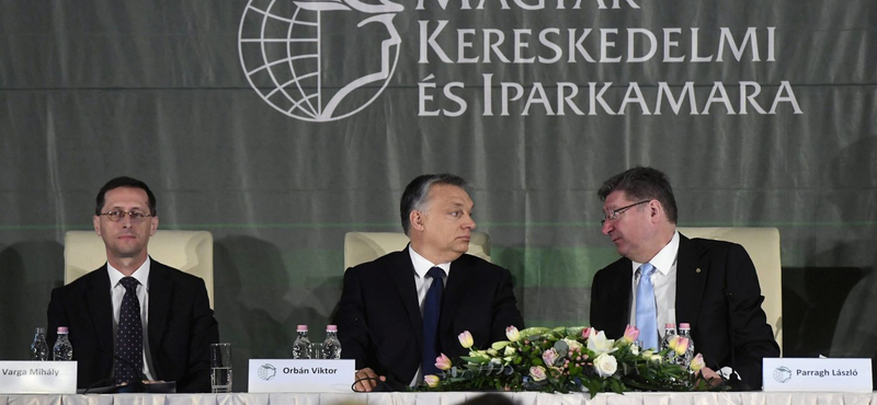 A megkattant fajvédő
