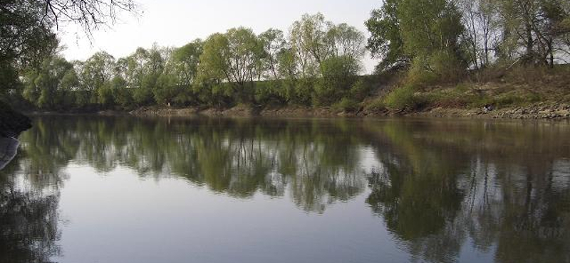 Javul a helyzet a Szamoson a nehézfémszennyezés után