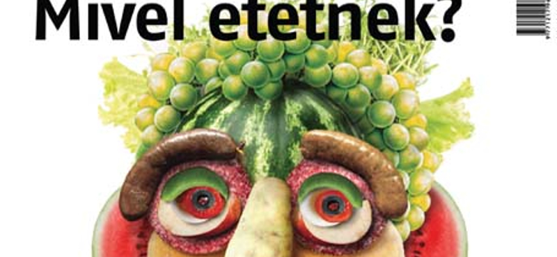 Kormánypárti politikusok az étel- és italbizniszben