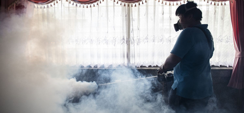 Pestissel diagnosztizáltak egy gyermeket Amerikában