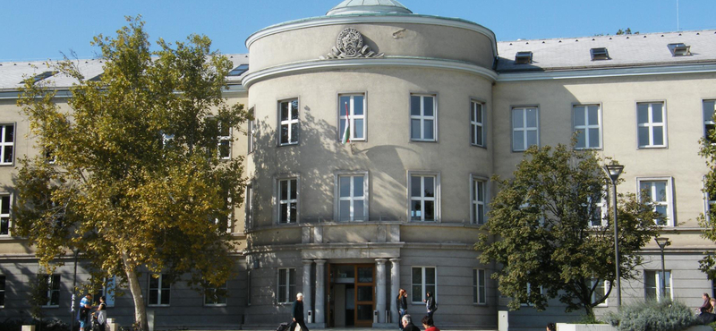 Online oktatásra áll át a Dunaújvárosi Egyetem