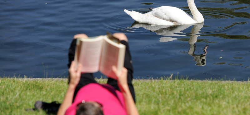 Feldmár, Törőcsik, Salinger: 11 könyv, amit ne hagyjunk ki