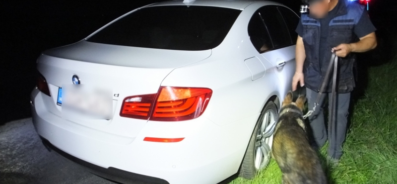5-ös BMW-vel menekült a rendőrök elől, közben kidobta a marihuánát – videóval