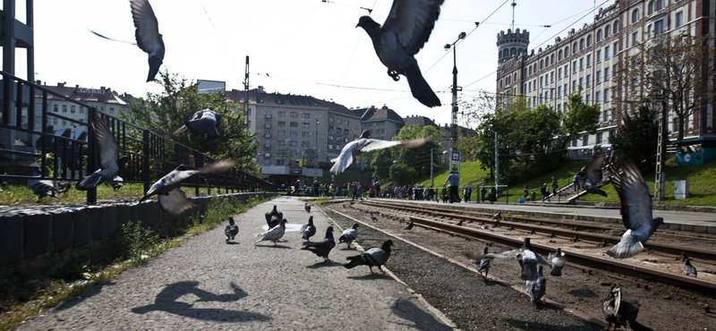 Széll Kálmán tér lett a Moszkva térből