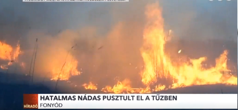 Elkeserítő videón a fonyódi nádastűz pusztítása, szándékos gyújtogatás okozhatta a katasztrófát