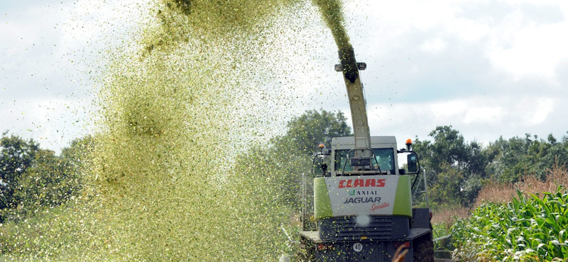 Napi 10 milliós bírság is járhat a génmódosított vetőmag miatt