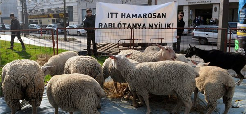 Megmagyarázták, miért kapott tanyasi támogatást a Belváros