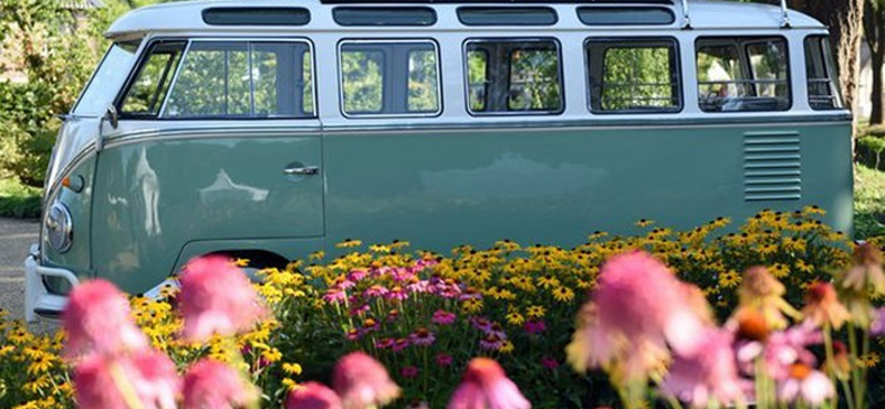 VW kisbuszból is van, ami olyan ritka, mint egy Bugatti