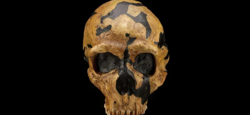 2800 éven át még élt a neandervölgyi ember, miután a homo sapiens megjelent