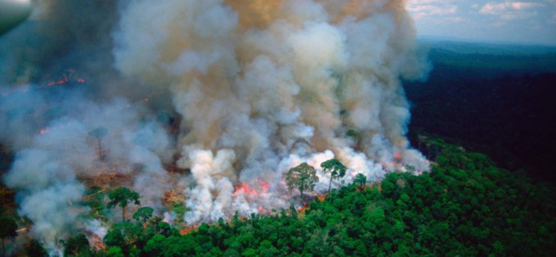 Újabb lépést tettek az Amazonas megmentésére