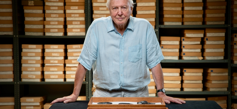 Kifizetődő a világ megmentésén fáradozni: David Attenborough-nak jól jövedelmez