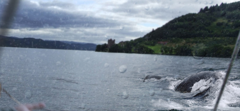 A nap videója: felkerült a Loch Ness-i szörny testvére