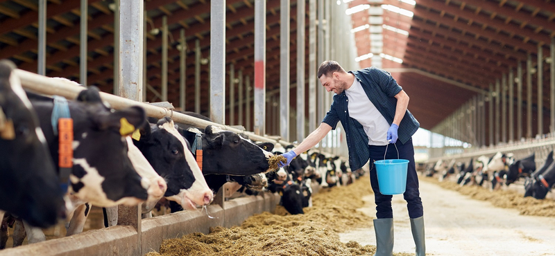 Megalapozná agrárvállalkozása további sikereit? Mutatjuk, milyen lehetőségei vannak