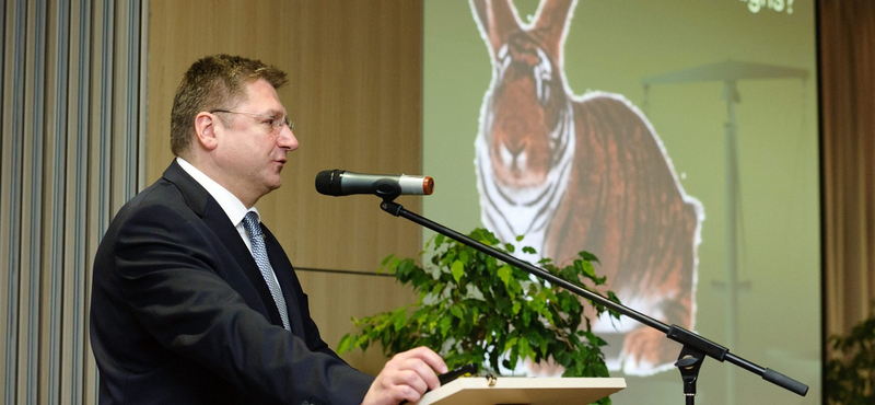 Tóta W.: Mit kíván a Magyarország Betéti Társaság?