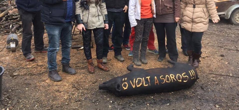 Megszólalt a böllér, aki ráírta a disznóra, hogy "ő volt a SOROS"